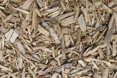 biomass boilers Llanelidan