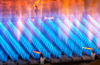 Llanelidan gas fired boilers